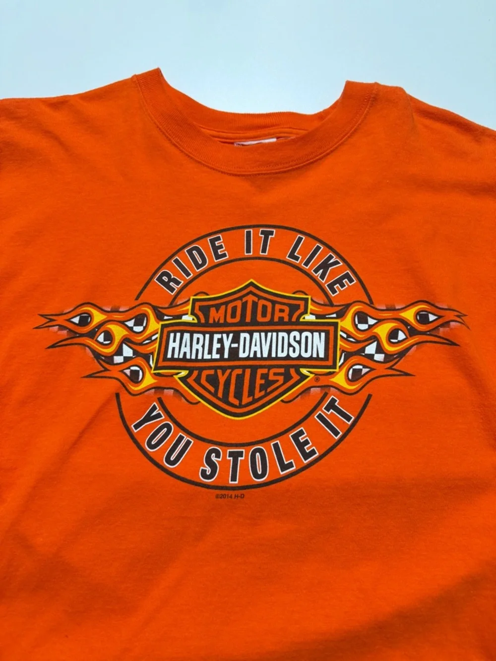 Harley Davidson Langley Chapter Flames Long Sleeve T-Shirt Mens Large - Picture 6 of 9